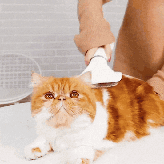 DuoPeludo 2*1 para Mascotas